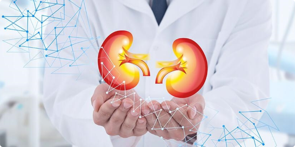 A doctor in a white coat holds a graphic of two kidneys, surrounded by abstract blue and white connected lines.